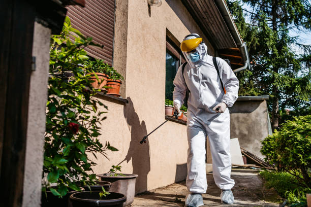 Best Rodent Control Near Me  in Mccullom Lake, IL