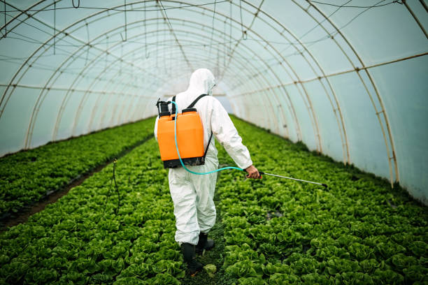 Best Best Pest Control Companies  in Mccullom Lake, IL