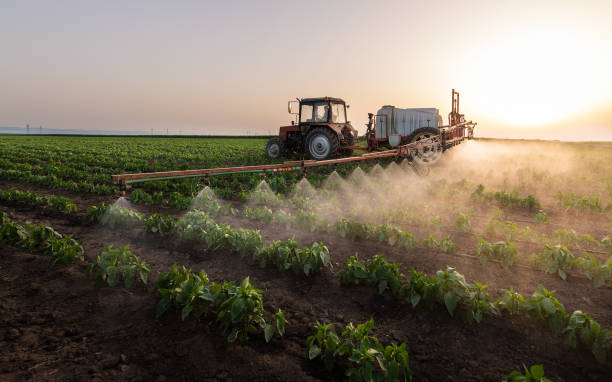 Best Pest Control Near Me  in Mccullom Lake, IL