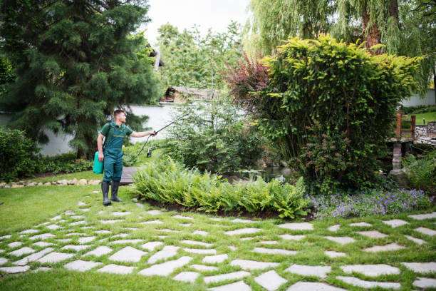 Best Termite Control Services  in Mccullom Lake, IL