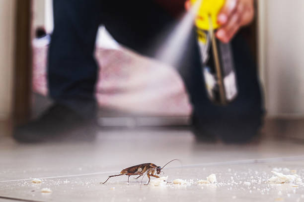 Best Ant Control Services  in Mccullom Lake, IL