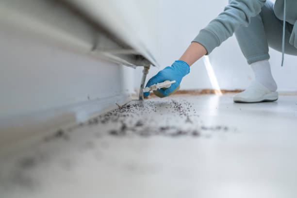 Best Cockroach Control Services  in Mccullom Lake, IL