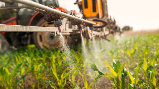 Best Best Pest Control Companies  in Mccullom Lake, IL