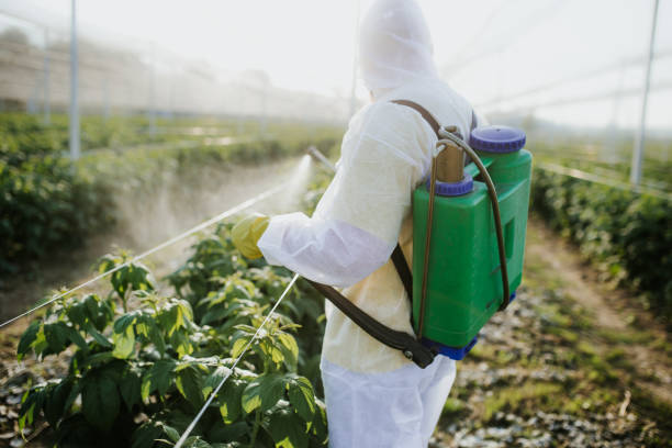 Best Mosquito Control Services  in Mccullom Lake, IL